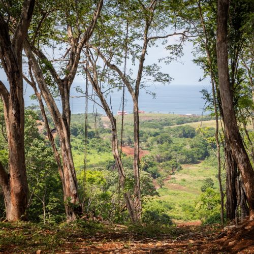 Riviera Troncones Jungle View 